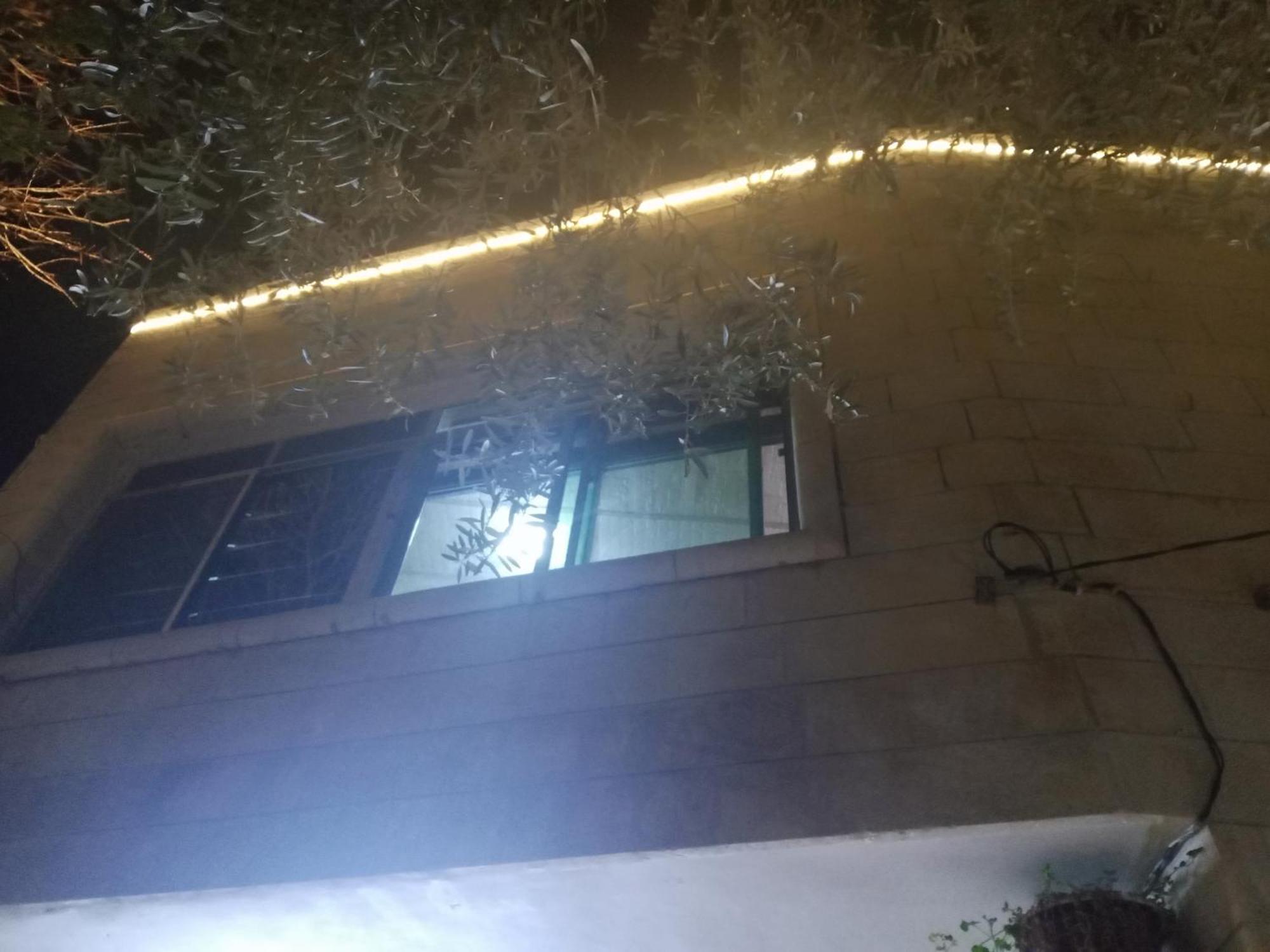 Flower 2 Jarash Exterior foto