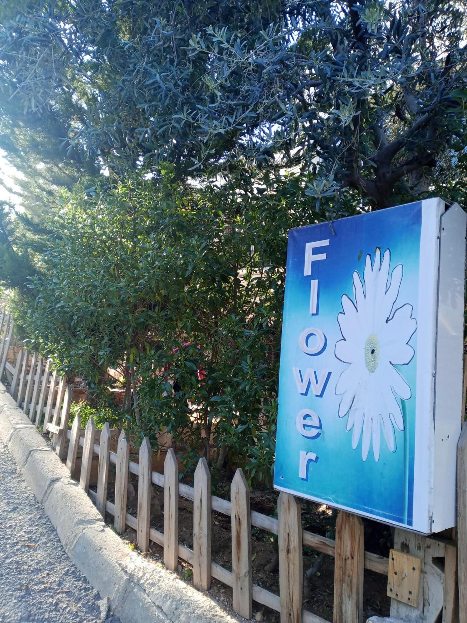 Flower 2 Jarash Exterior foto