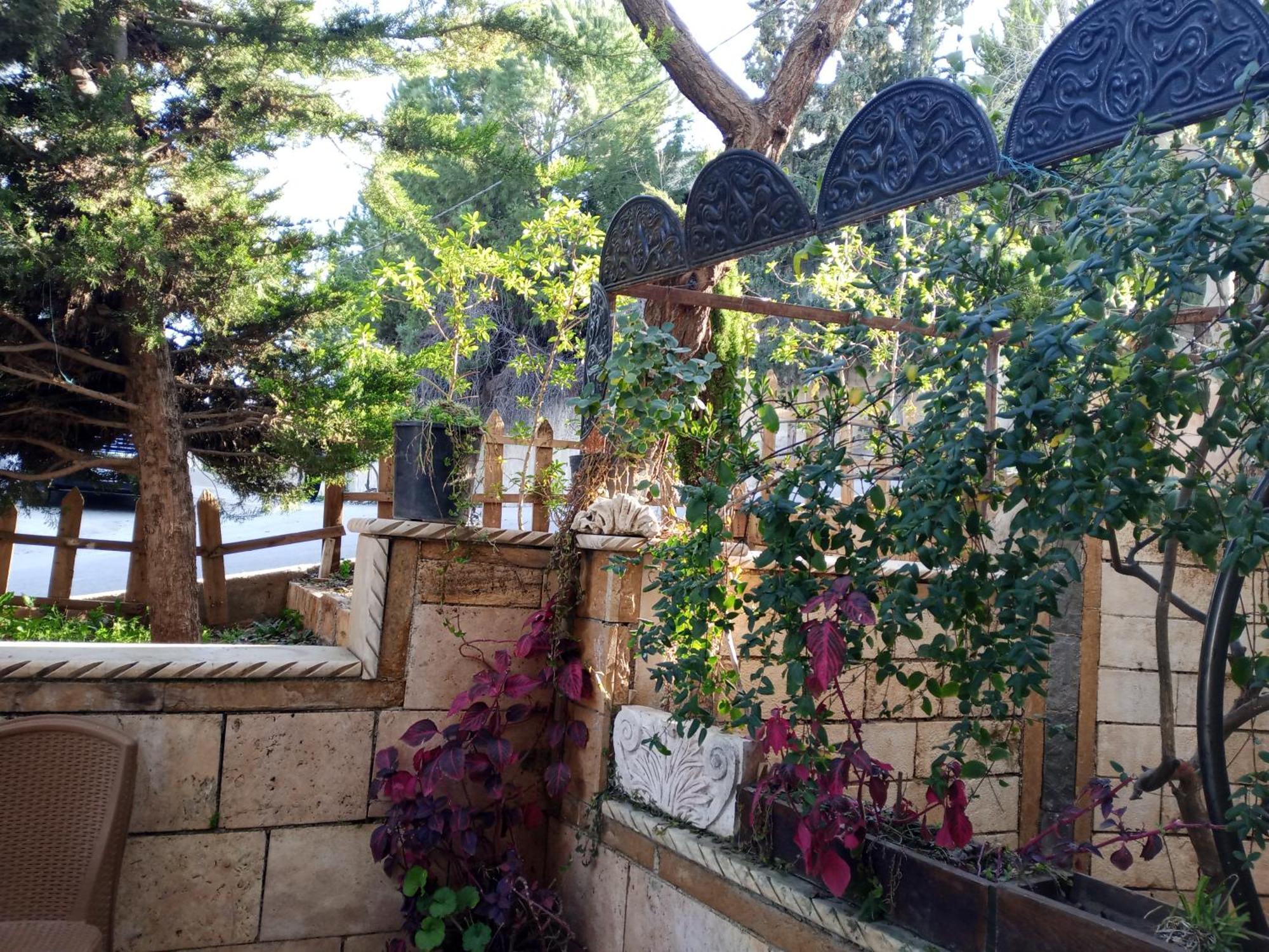 Flower 2 Jarash Exterior foto